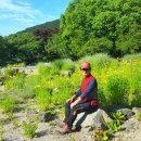 한라수목원 이미지