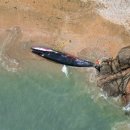 고래스크린 이미지