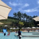 달팽이방갈로 이미지