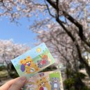 애월고등학교 이미지