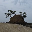 서해랑길 57코스 이미지