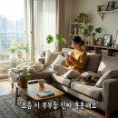 엄마농원민박 | 현빈 손예진·송중기 케이티 관심폭발! 연예계 핫 커플 근황과 스타 부부 일상
