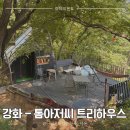 톰과젤리 | 강화도 아이랑 가볼만한곳 | 톰아저씨 트리하우스 숲체험 후기 1탄