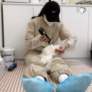묘리깡 이미지