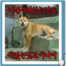 양군팩토리 이미지