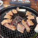 연화계야당 | 야당 숯불쭈꾸미 먹으러 다녀온 연화계 야당점 솔직한 방문 후기입니다