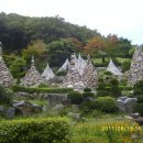 와우정사 이미지