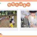 신양유치원 이미지