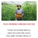 그랜마켓