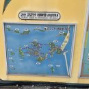 군도1호 | 선유도·장자도 여행 - 새만금 드라이브부터 호떡, 스카이워크까지 감성 후기