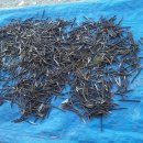 심가네 농장 이미지