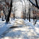 태자수약수 이미지