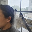 에이바헤어 봉화산역점 | 푸석한 단발머리 심폐소생! 에이바헤어 봉화산역점 수분 단백질 클리닉 후기 (feat. 애견동반 가능)