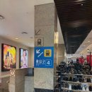 서현역에서 쉽게 접근할 수 있는 크로스핏 라운지, 이매 크로스핏 추천