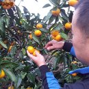 효은농장 이미지