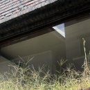 피노코로 이미지