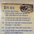 고씨굴맛집;설원칡냉면 이미지