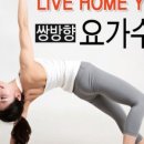 요가;집
