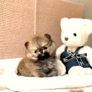 요미 티스토리
