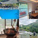 고령스테이포레스트 | [고령] 대구 근교 계곡 펜션 스테이 포레스트 후기 :: 서대구 여름 MT