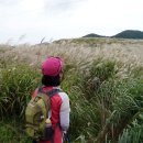 양동목장 이미지