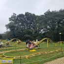 제주아이 이미지