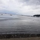 덕이네식당 이미지