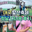 경일여자중학교 | 대구 앞산축제 2024 첫날 다녀온 대명동 주민의 리뷰