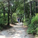 월평공원 습지길 티스토리