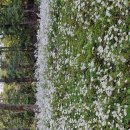 율곡수목원(3) 이미지