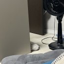 하이뭉치 유치원 이미지
