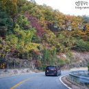 이동정원갈비
