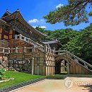 불국사의원 이미지