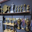 더 레오 핏 이미지