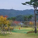 스포츠파크 파크골프장 이미지