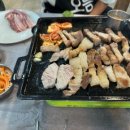 우도흑돼지 이미지