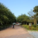 합덕읍 소들공원 게이트볼장 이미지