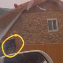 감꽃향흩날리는 이미지