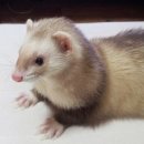 북아현동물병원 이미지