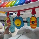 내산체육관 이미지