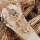 산림놀이 이미지