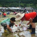 도장포어촌체험마을 이미지