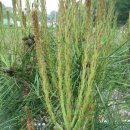 솔치농장 이미지