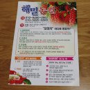 해밀농원 | 오미자청먹는법 홍천해밀농원 오미자엑기스