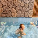 샤인히얼60 | 제주 애월 아기 감귤 체험 숙소 샤인히얼60 별동