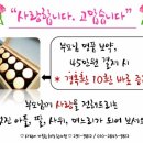 감천1동-5 이미지