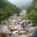 동해시-22 이미지