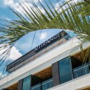 아띠랑스(Attirance) 이미지