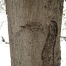 태학산약수 이미지