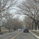 송림공원 건너 이미지